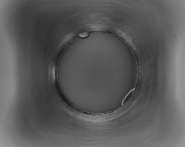 X0000112910019200908311246