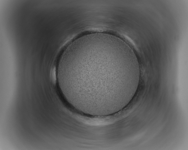 X0000112910020200908311246