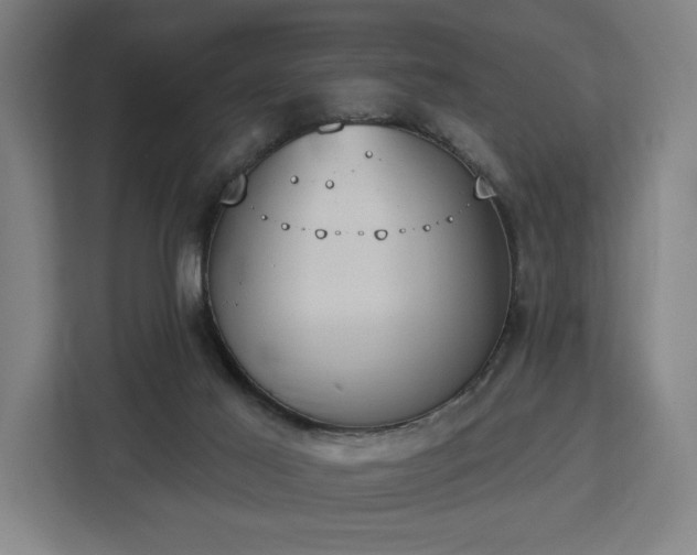 X0000112910021200908311246