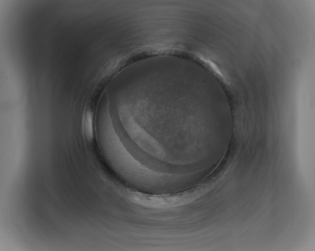 X0000112910022200908311246