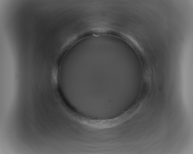 X0000112910023200908311246