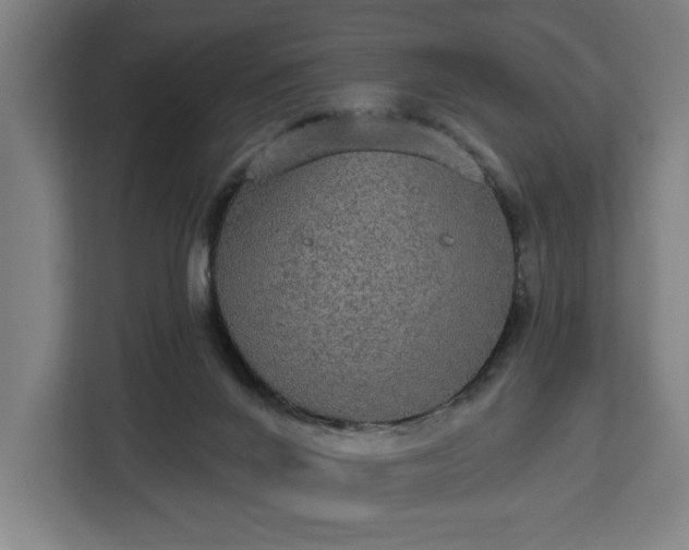 X0000112910024200908311246