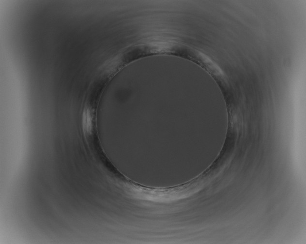 X0000112910026200908311246