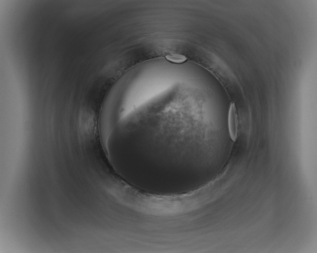 X0000112910029200908311246