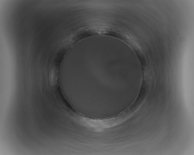 X0000112910030200908311246