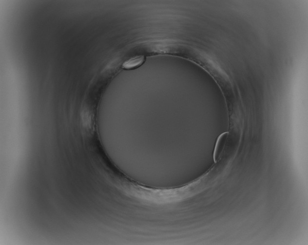 X0000112910031200908311246