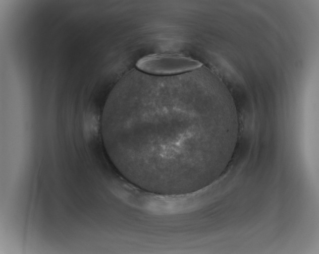 X0000112910033200908311246