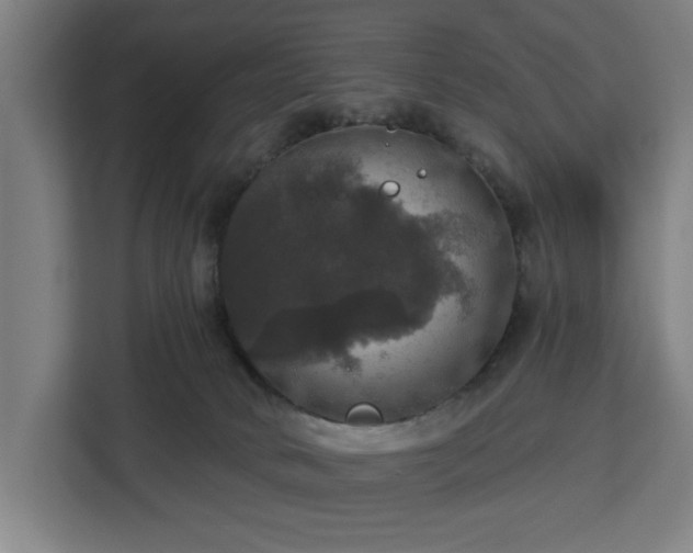 X0000112910034200908311246