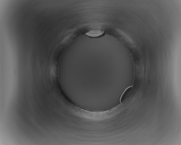 X0000112910035200908311246