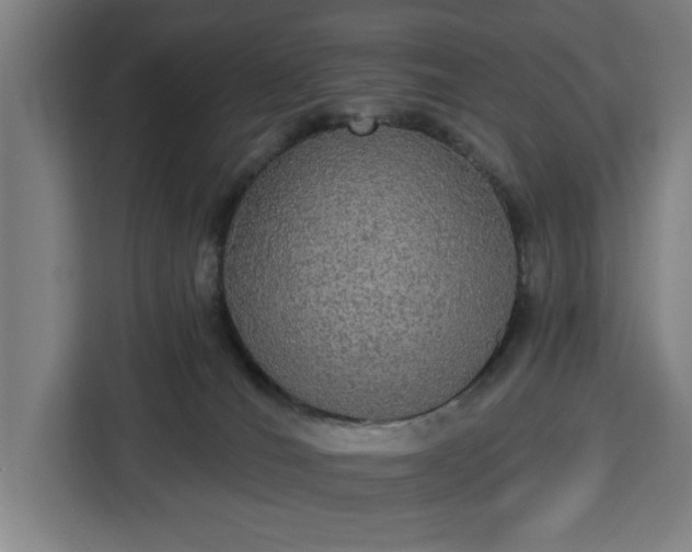 X0000112910036200908311246