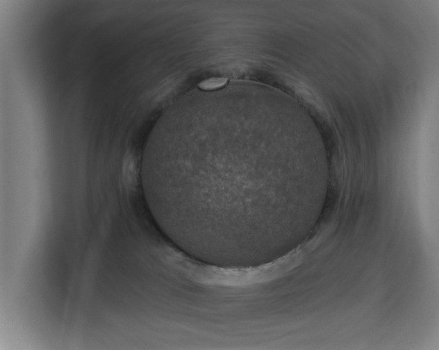 X0000112910037200908311246