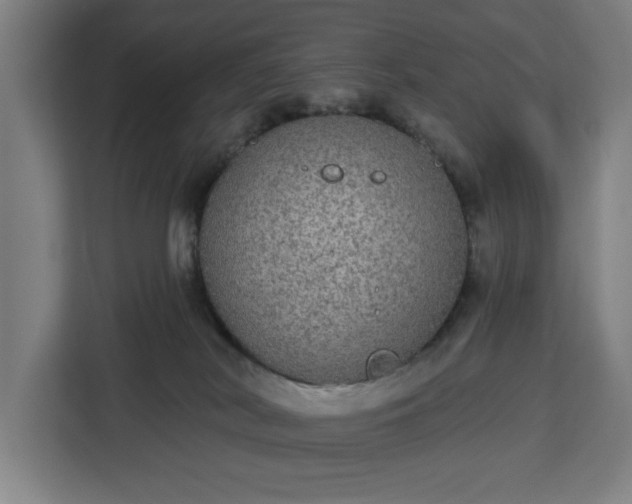 X0000112910038200908311246