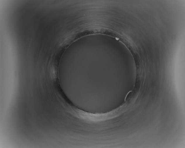 X0000112910039200908311246