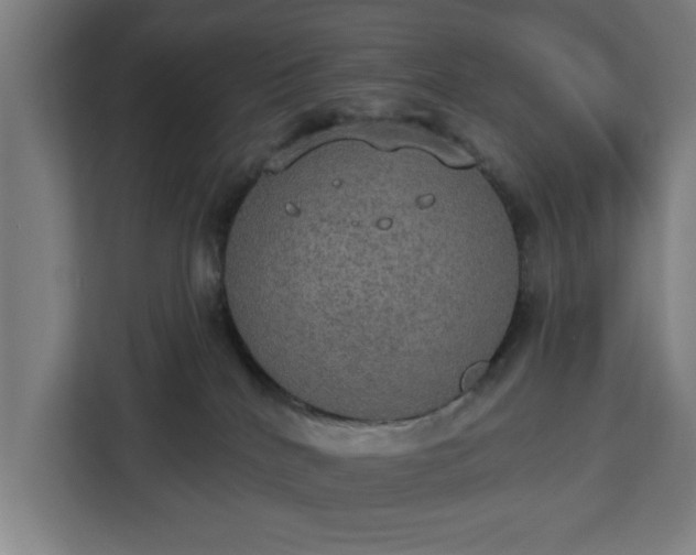 X0000112910040200908311246