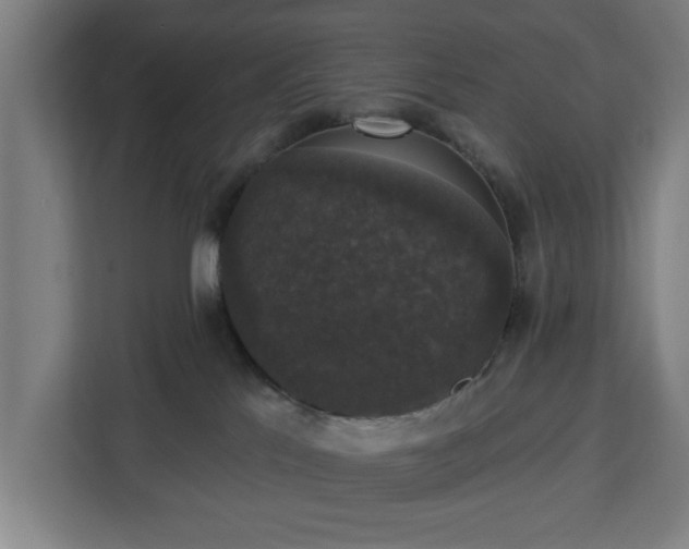 X0000112910041200908311246