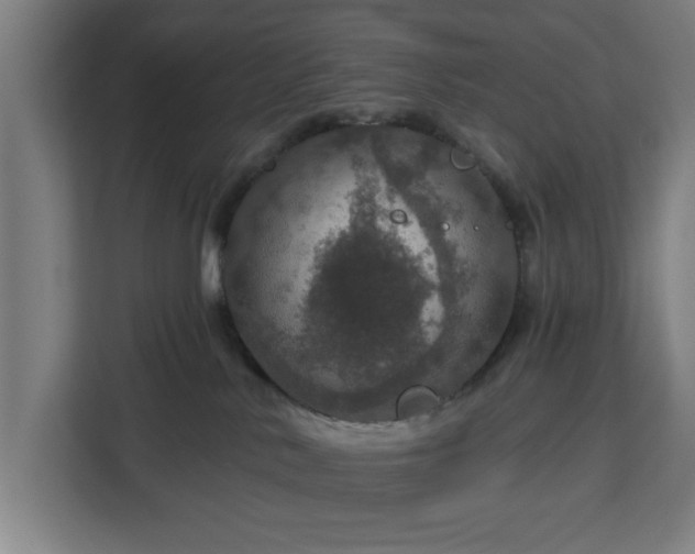 X0000112910042200908311246