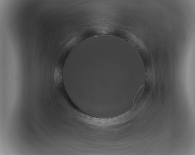 X0000112910043200908311246