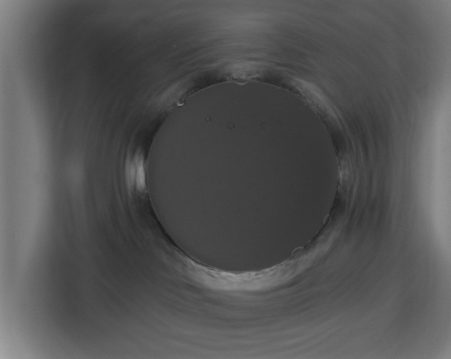 X0000112910046200908311246