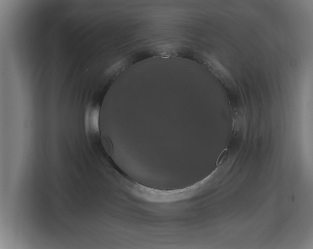 X0000112910047200908311246