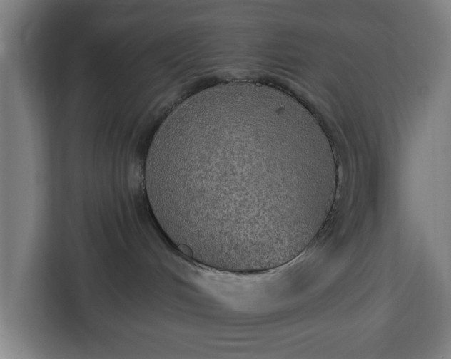 X0000112910048200908311246