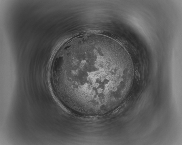 X0000112910049200908311245