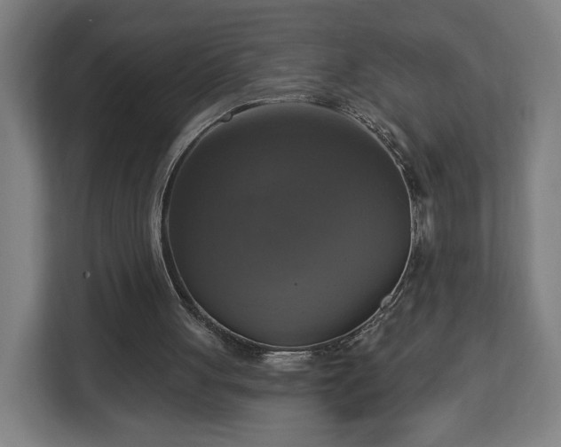 X0000112910051200908311245