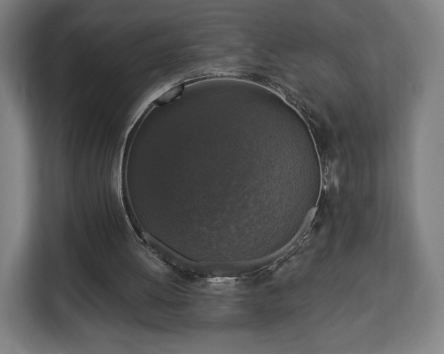 X0000112910052200908311245