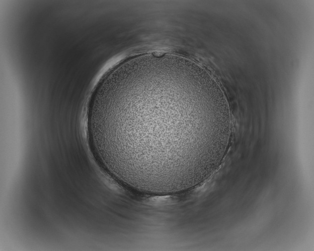 X0000112910054200908311245