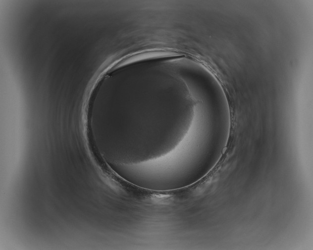 X0000112910055200908311245