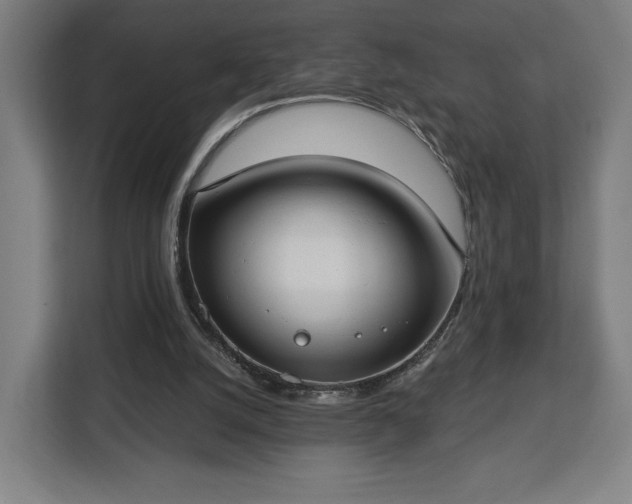 X0000112910056200908311245