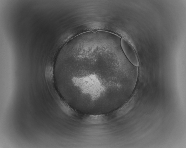 X0000112910057200908311245