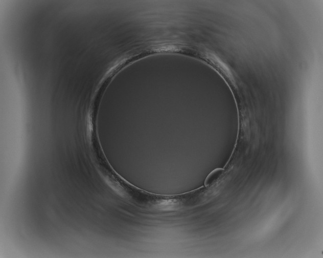 X0000112910059200908311245