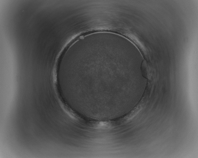 X0000112910060200908311245