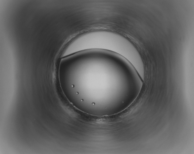 X0000112910064200908311245