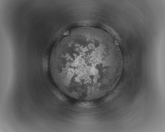 X0000112910065200908311245