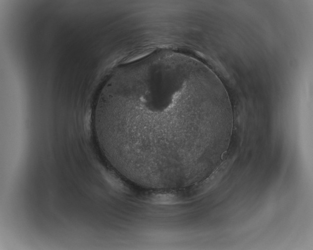 X0000112910066200908311245