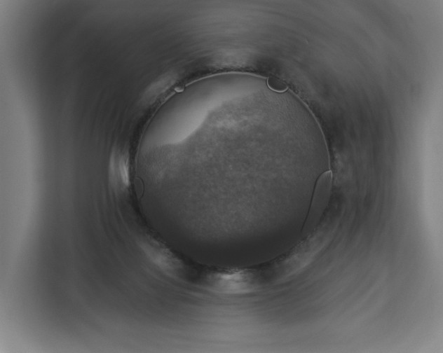 X0000112910068200908311245