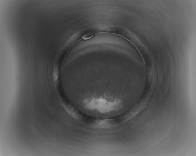 X0000112910072200908311245