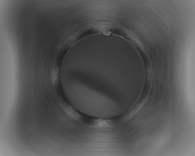 X0000112910073200908311245