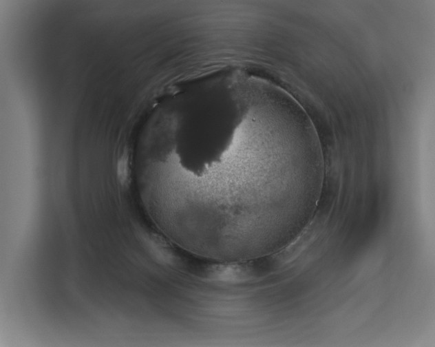 X0000112910074200908311245