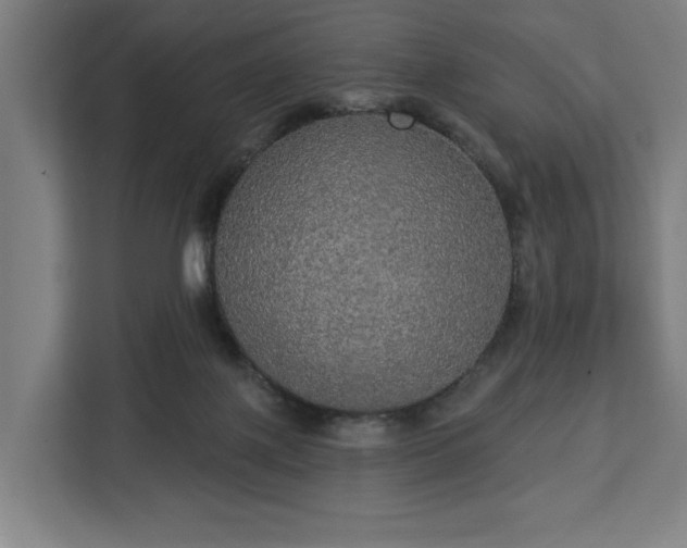 X0000112910075200908311245