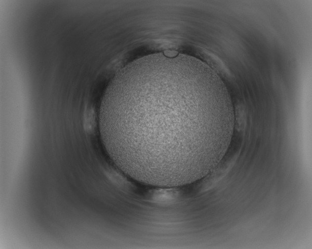 X0000112910077200908311245