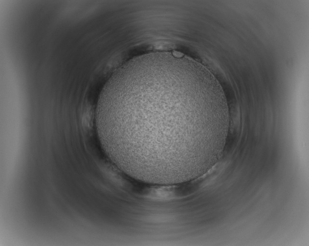 X0000112910078200908311245