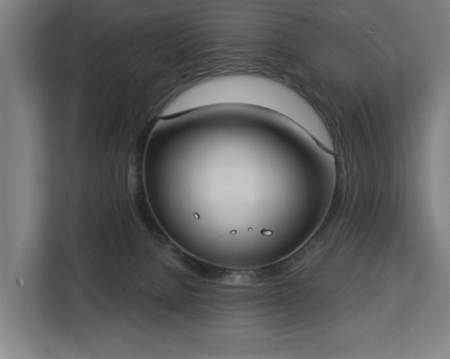 X0000112910080200908311245