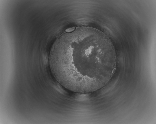 X0000112910081200908311245