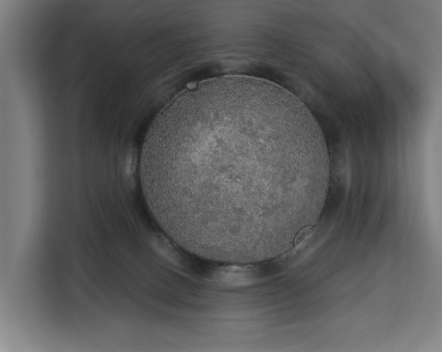 X0000112910082200908311245