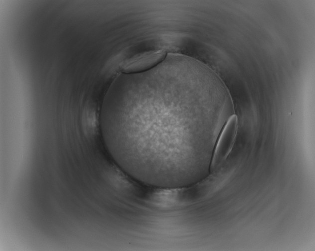 X0000112910084200908311246