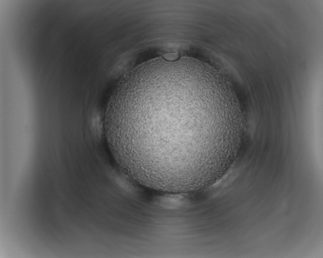 X0000112910086200908311246