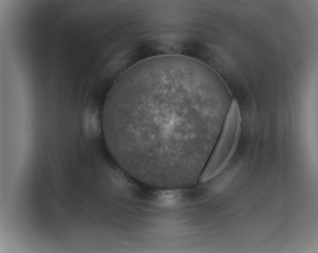 X0000112910088200908311246