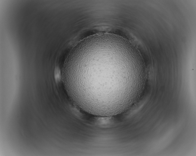 X0000112910089200908311246